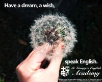 http://www.bilbaoenglish.com/Local_IMG_Pallet/deYU3EyQP9cN23 http://www.bilbaoenglish.com/Local_IMG_Pallet/deYU3EyQP9cN23